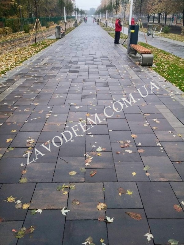 Zavod Fem