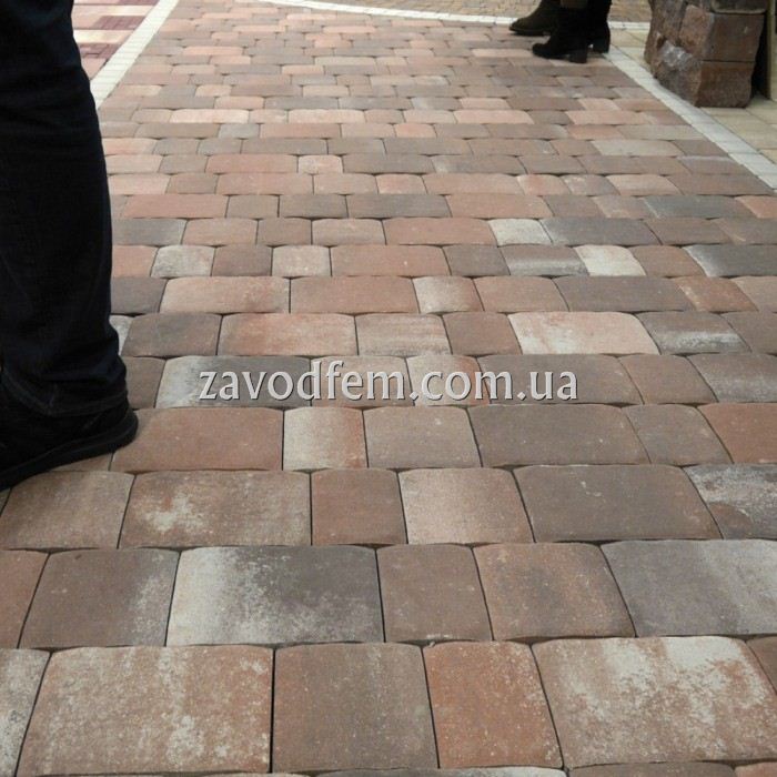 Zavod Fem